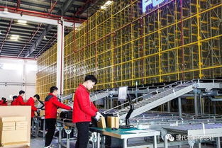 2019年度優(yōu)秀工程獎項目賞析 重慶飛力達自動化立體倉庫的卓越自動化工程實踐